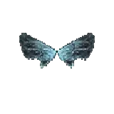 Wings of Elf