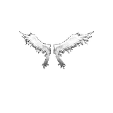 Wings of Heaven
